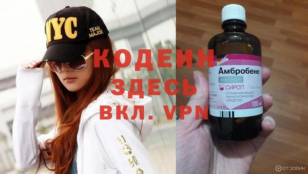 стафф Касимов