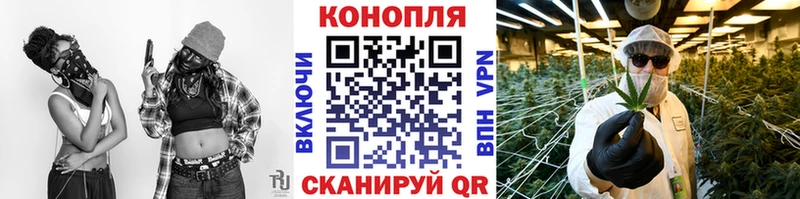 Шишки марихуана индика  площадка клад  Медынь 